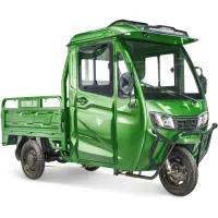 Грузовой электротрицикл Rutrike КАРГО Кабина Универсал 1500 60V1000W зеленый