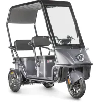 Электротрицикл Wanshida NIPLA 500 60V 1000Вт Черно-серый