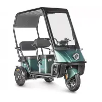 Электротрицикл Wanshida NIPLA 500 60V 1000Вт